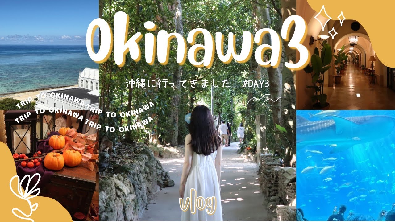 沖縄旅行3泊4日#DAY3🐟🌳🐷美ら海水族館、フクギ並木、アグー豚