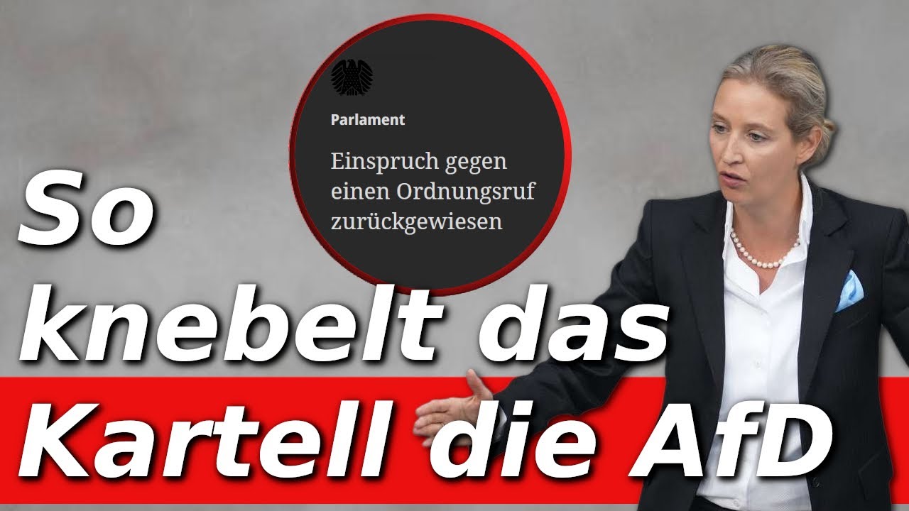 2.000 Euro Strafe für Regierungskritik – was ist aus der Demokratie geworden?