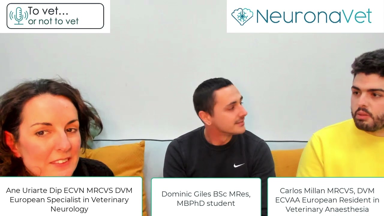 The road for a medical student that is doing his phD on artificial intelligence and loves Neurology