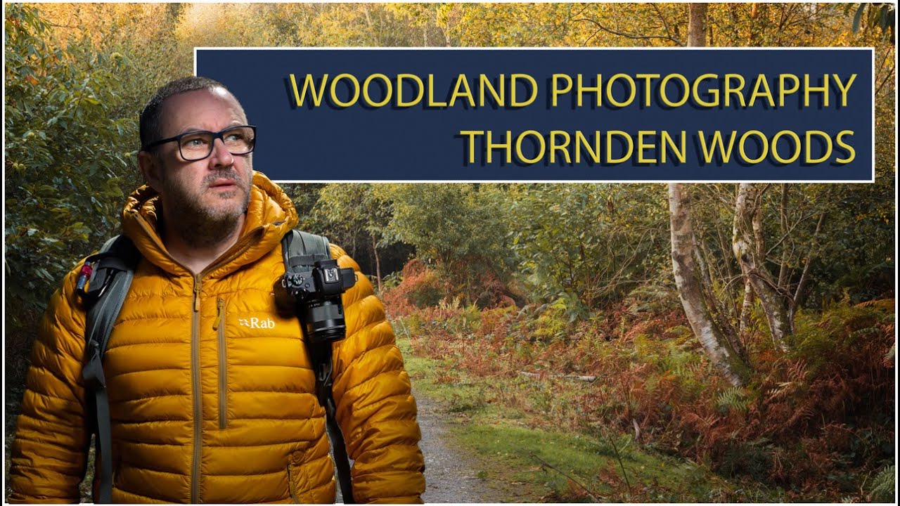 Exploring Thornden Woods , A Hidden Gem In The Heart Of Kent