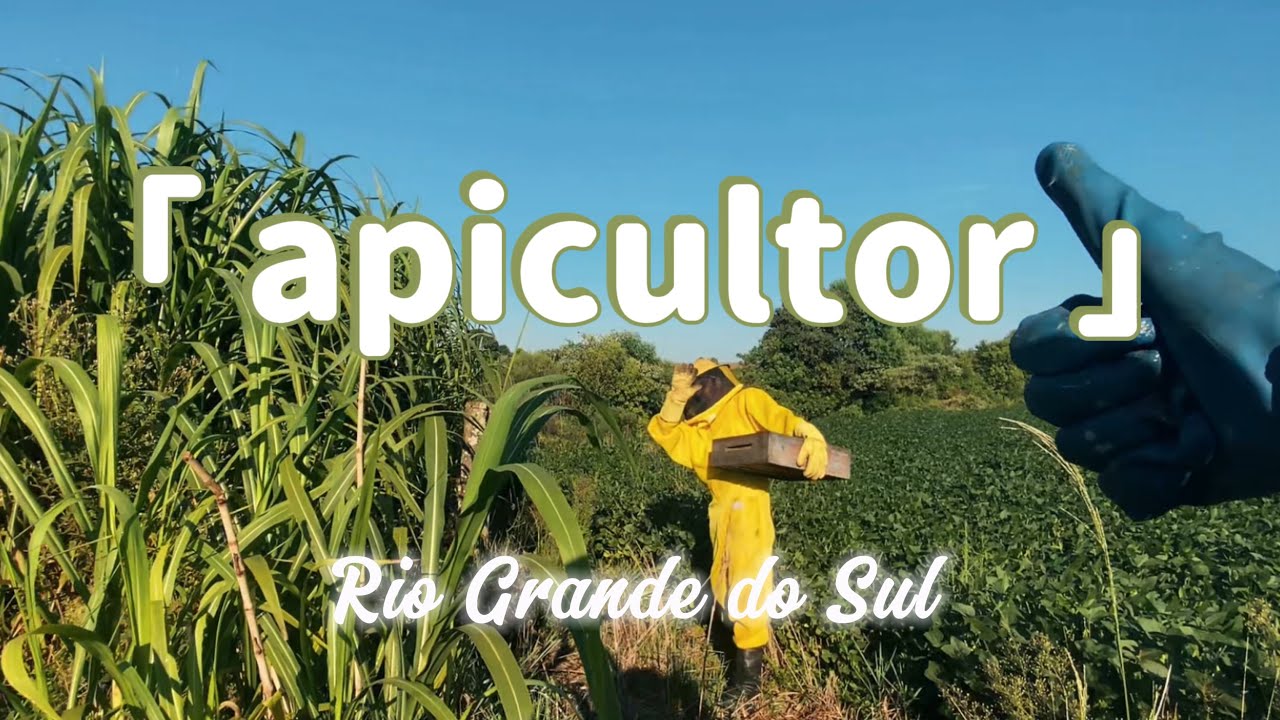 Apicultura - mel de abelha puro um Vlog satisfat&oacute;rio