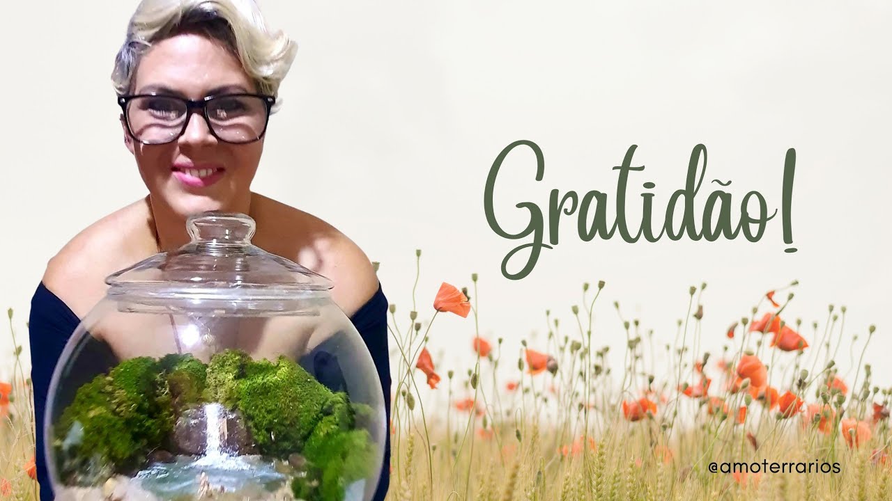 Terrário na Garrafa vertical  ☘️DIY