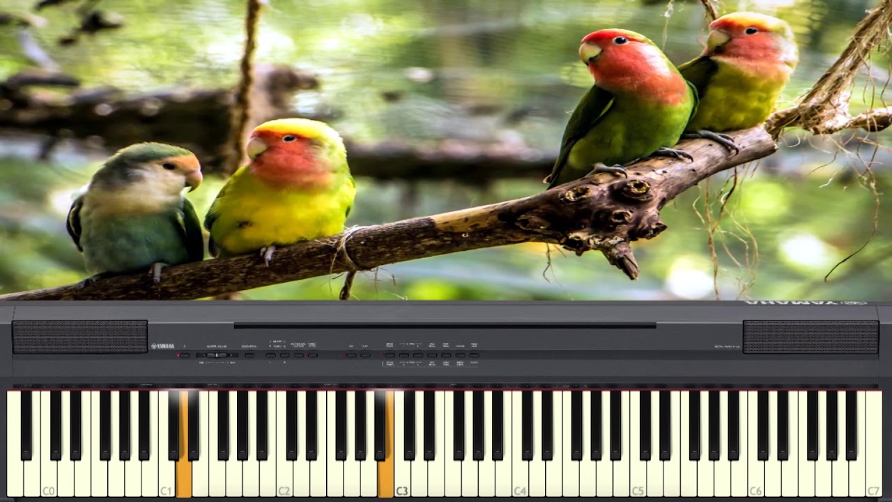 DIGNO ES EL SEÑOR Piano para Orar ♪♫