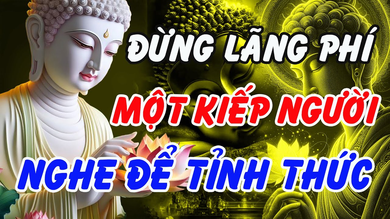 Lời Phật Dạy Thấu Tận Tim: Đừng Phí Một Kiếp Người Trong Vô Minh – Thức Tỉnh Ngay Hôm Nay!
