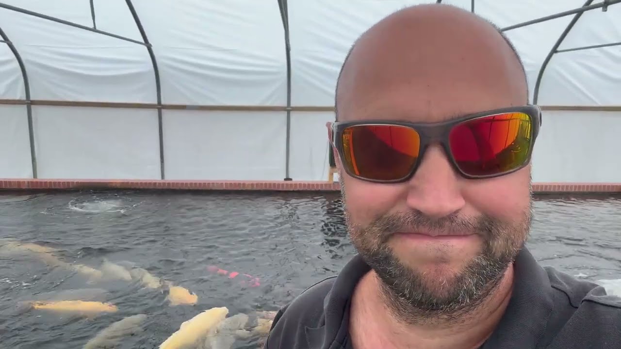 Koi And Carp Measure UP