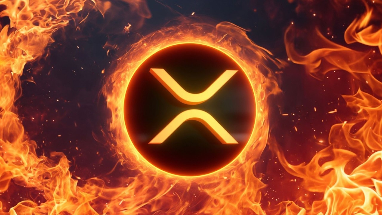 XRP, мне страшно!!!! Предупреждение от MR Pool на 1300 дней!!!!
