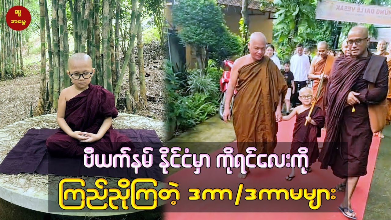 ဗီယက်နမ်နိုင်ငံမှာ ကိုရင်လေးကို ကြည်ညိုကြတဲ့ ဒကာ/ဒကာမများကို အနုမောဒနာ ချီးမြှင့်ရန် ကြွခြင်း 🙏🌷