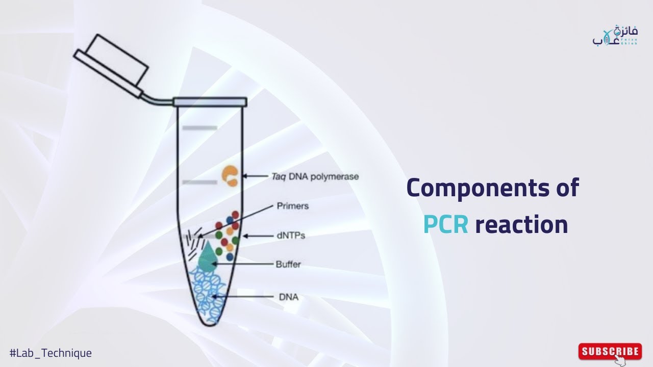 Components of PCR reaction I مكونات تفاعل البي سي ار