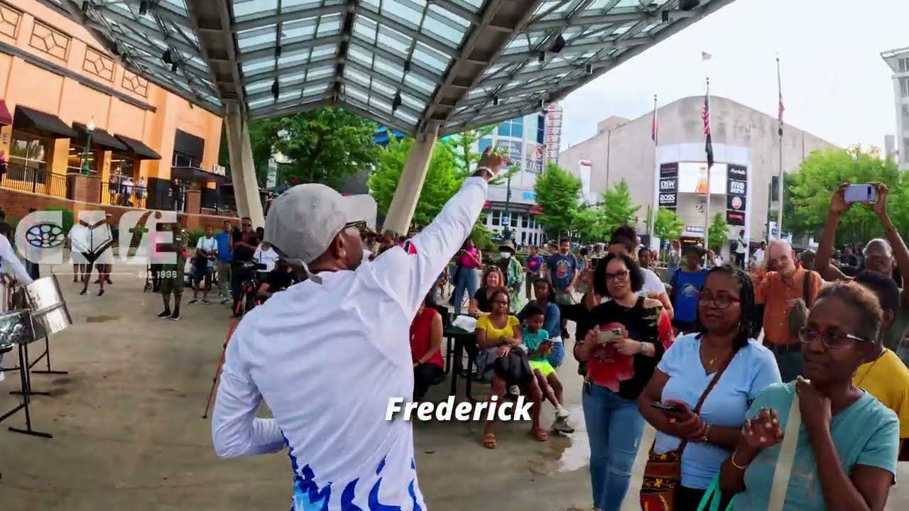 No Place Like Home 🔥 | ProviQRC Brings DNA & Savannah Grass to Life on Steelpan