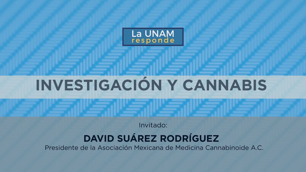 Investigación y Cannabis. La UNAM responde 434