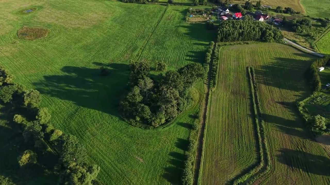 Stare Dębno