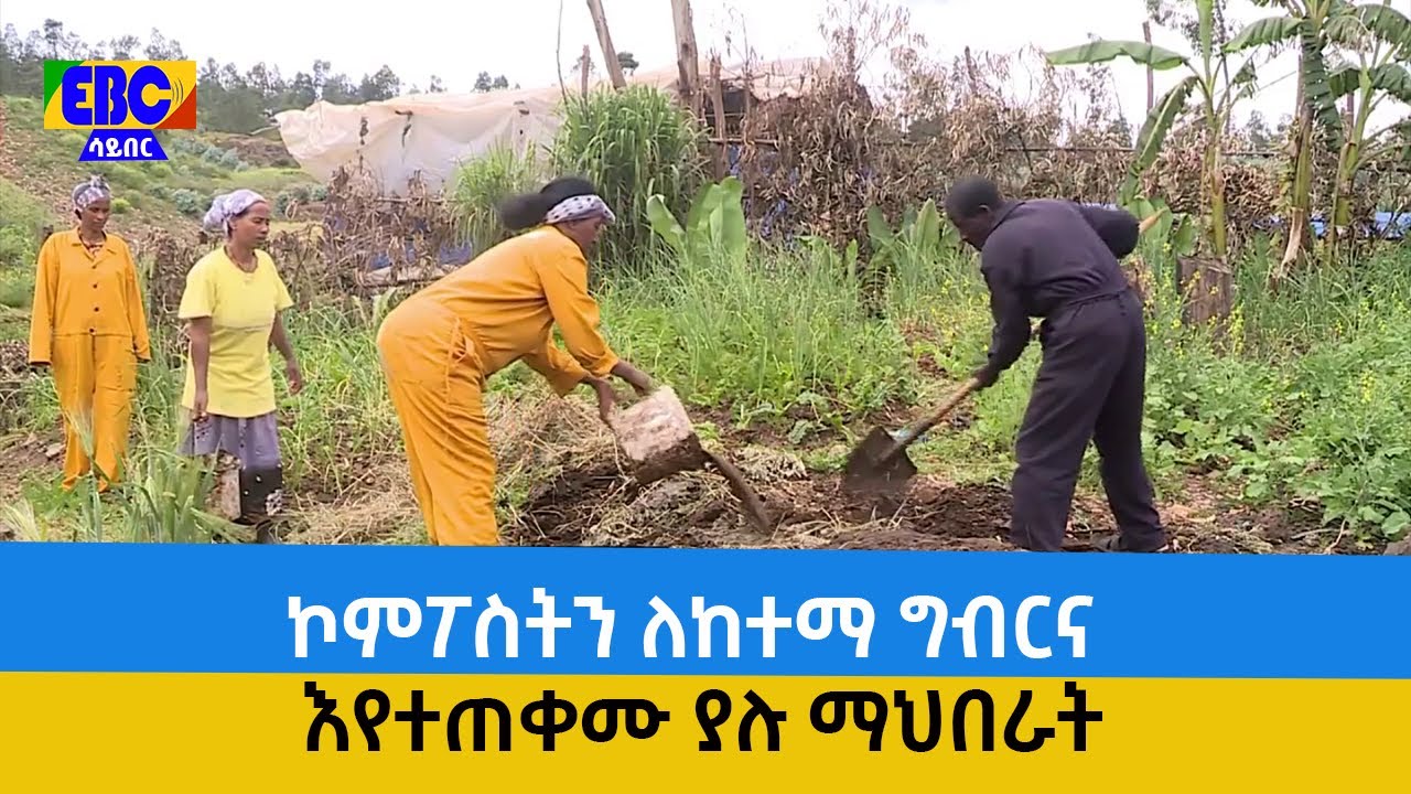 ኮምፖስትን ለከተማ ግብርና እየተጠቀሙ ያሉ ማህበራት  Etv | Ethiopia | News