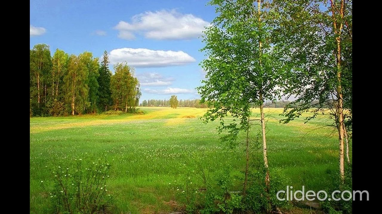 Серафим - Эн бааргар