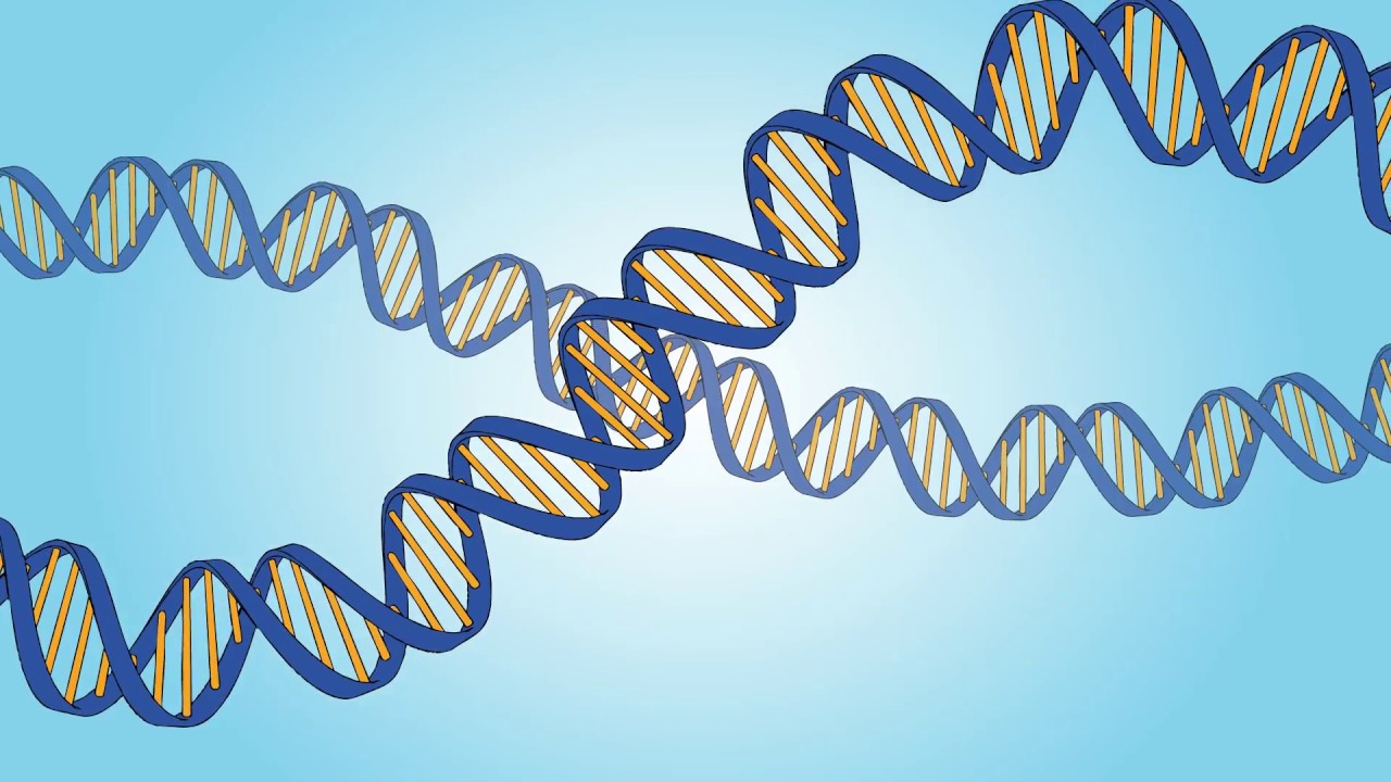 Keeping score of mutations to link genes to disease