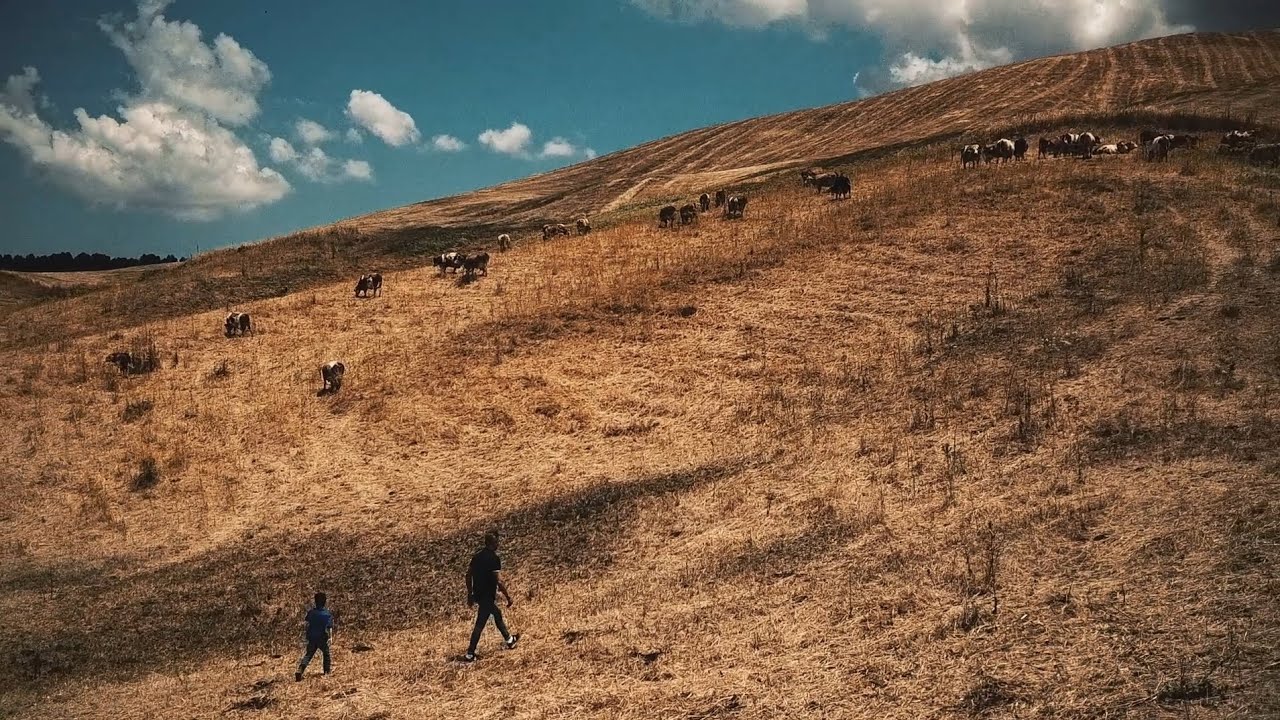 Spot 60 - Black Bull Comitini (AG)