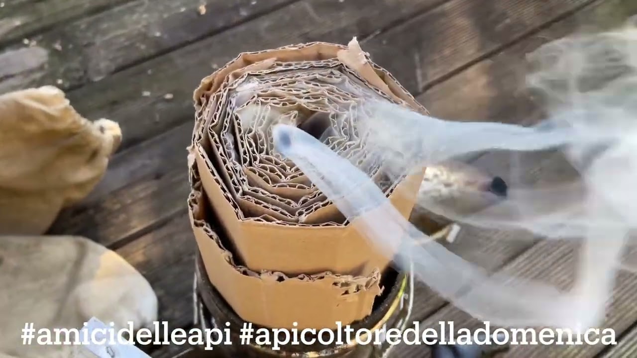 Api in inverno - Primo controllo sul mare del 2024