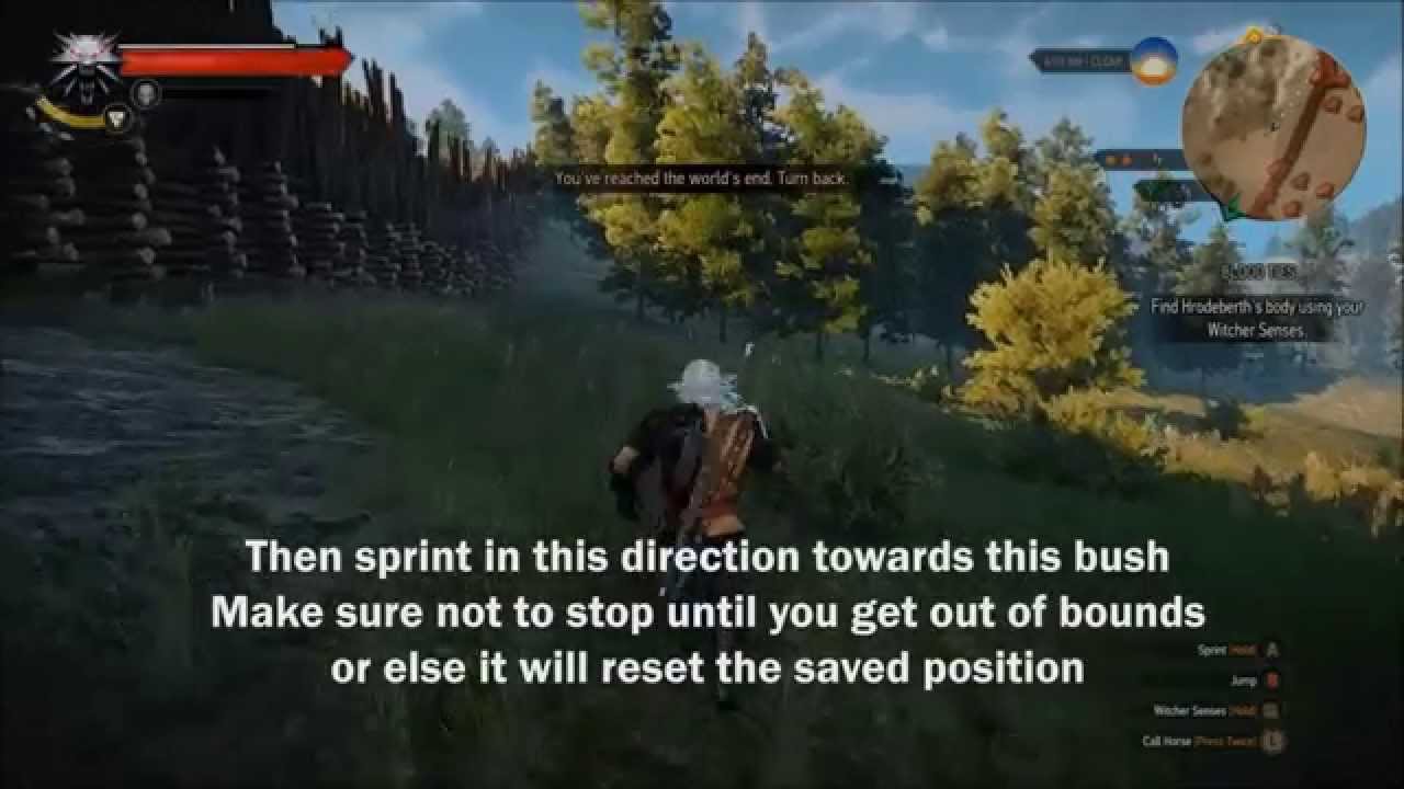 Neat glitch I found in The Witcher 3