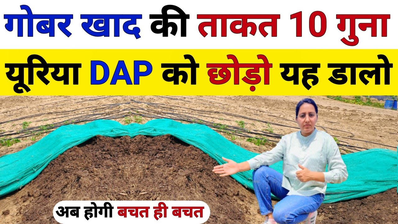 यूरिया DAP को छोड़ो 🤗 गोबर खाद की ताकत 10 गुना बढाएं | dap ki jagah kya dale | high power fertilizer