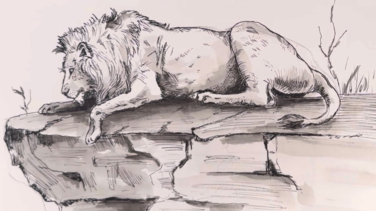 Dip pen and ink lion