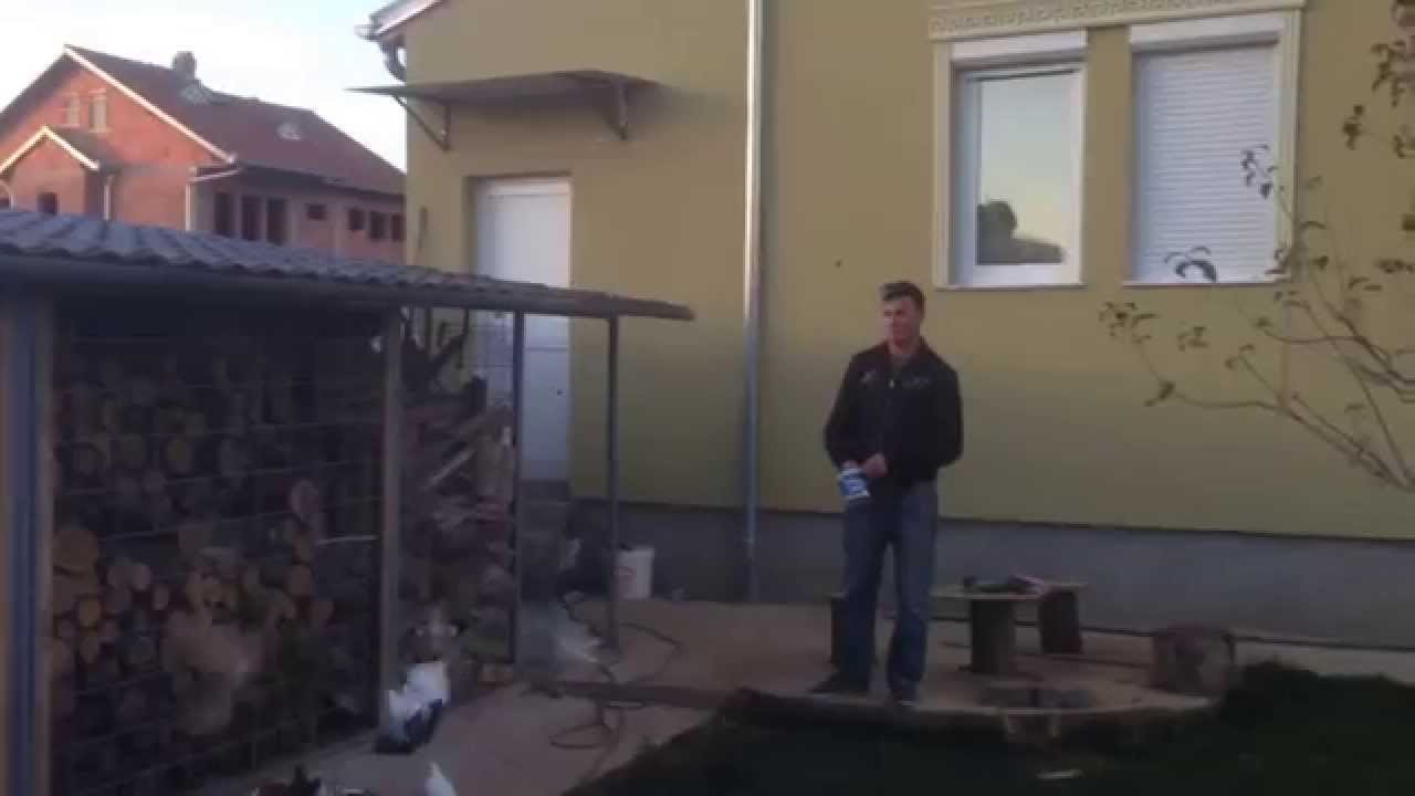 pllumat  e skendes prishtin 1