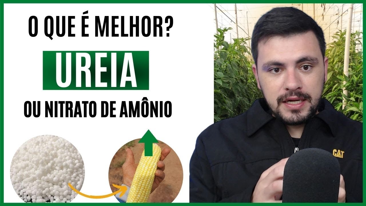 Melhor utilizar UREIA ou NITRATO DE AMÔNIO para adubar as lavouras