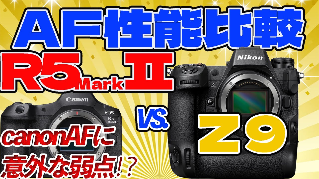 【比較】R5MarkIIとZ9でAF比べてみた！