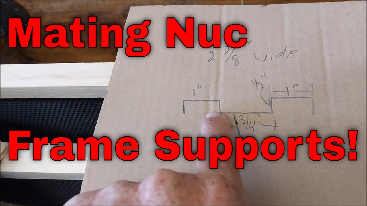 🔨Mating Nuc Frame Supports-That Bee Man