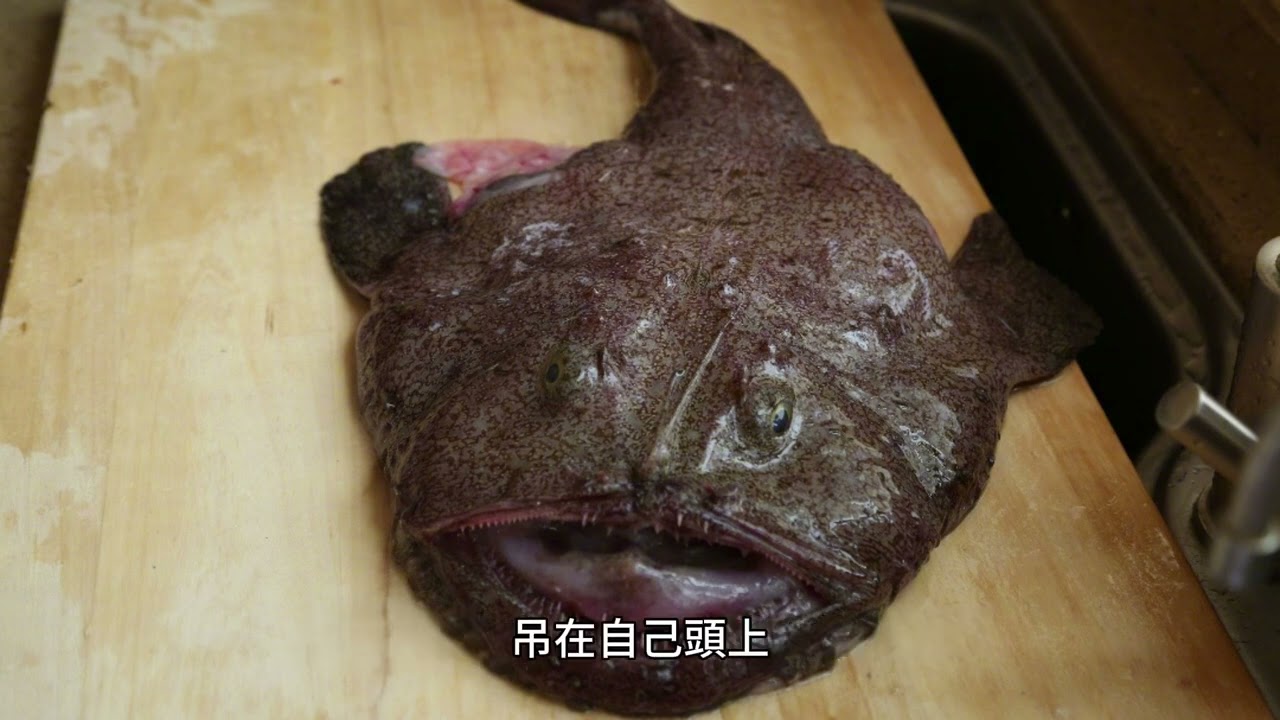 罕見的深海怪魚