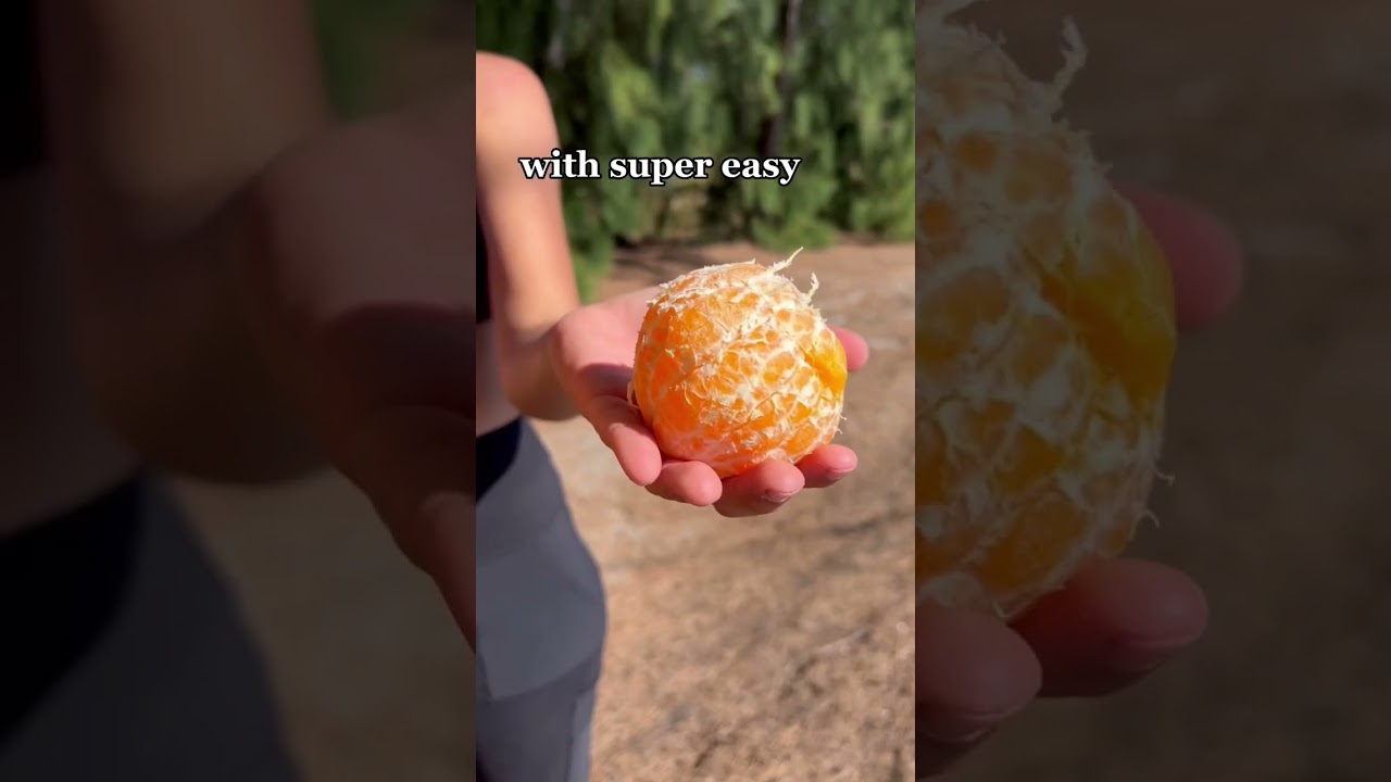 How to peel SUMO mandarins the correct way 🍊 #fruit #youtubeshorts #mandarin