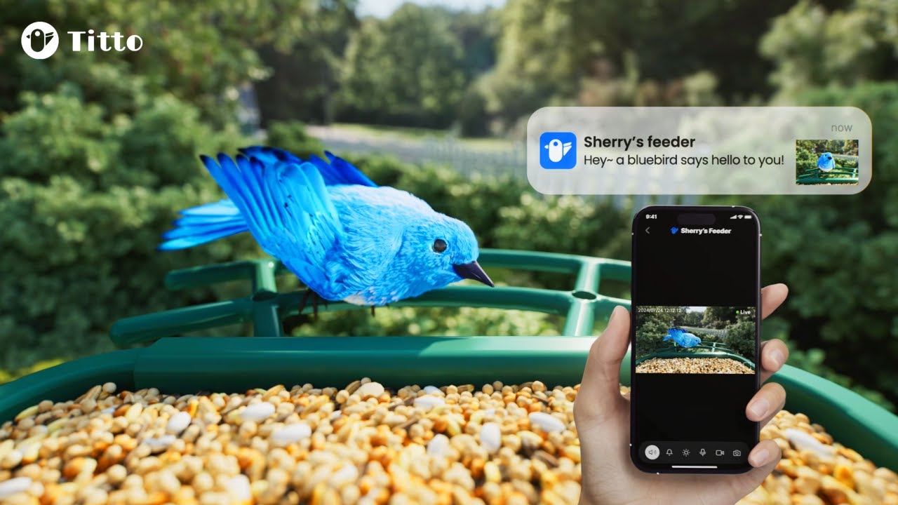 Titto Smart Bird Feeder with Camera | 2K HD AI Identify Bird Watching Camera, Auto Capture Video