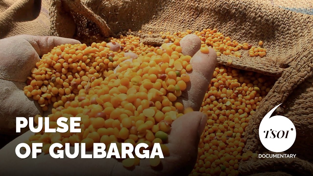 Pulse of Gulbarga | TSOI Documentary