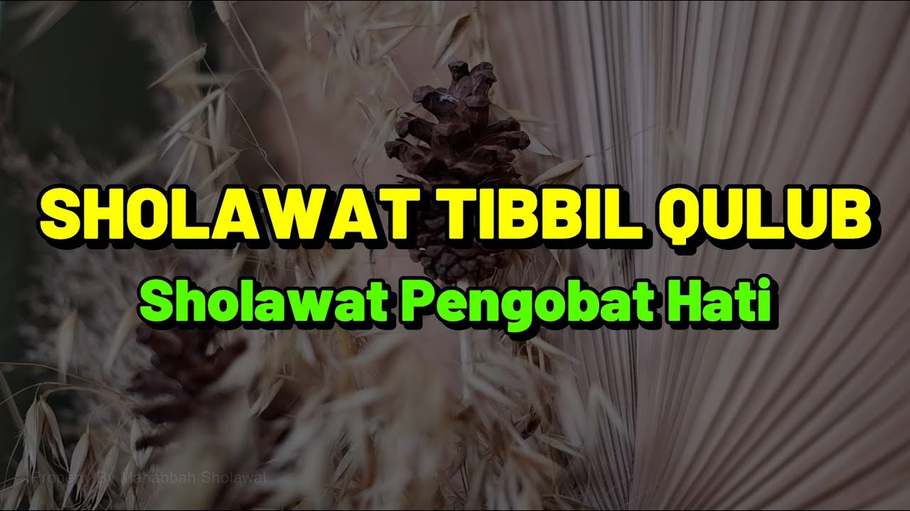 SHOLAWAT TIBBIL QULUB - SHOLAWAT PENGOBAT HATI