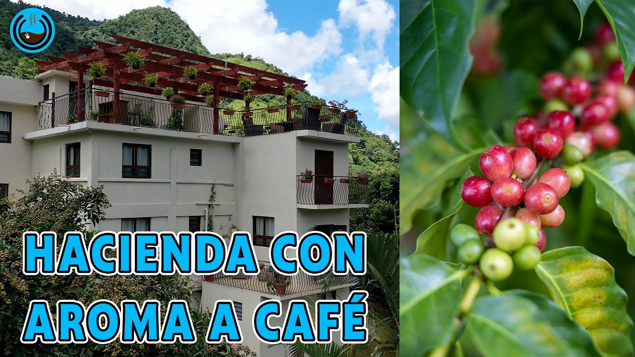 Hacienda Moraica: Una joya escondida entre las montañas con aroma a café