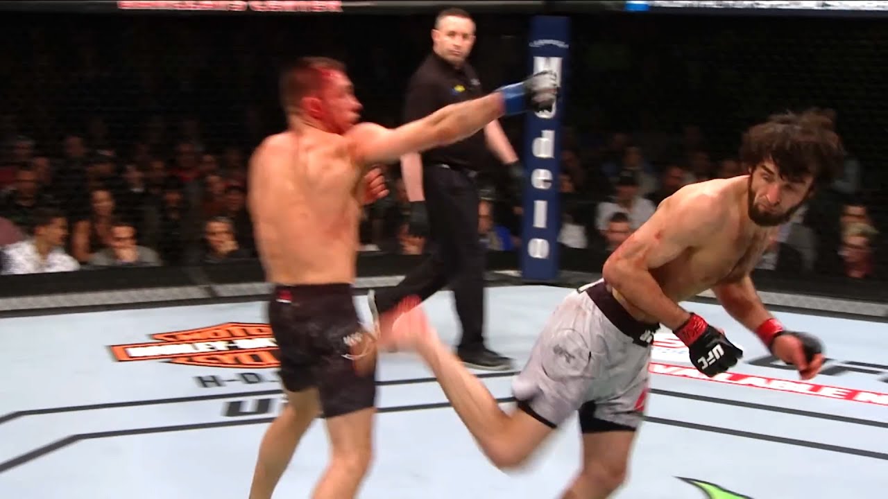 When Fighters Stand and Bang