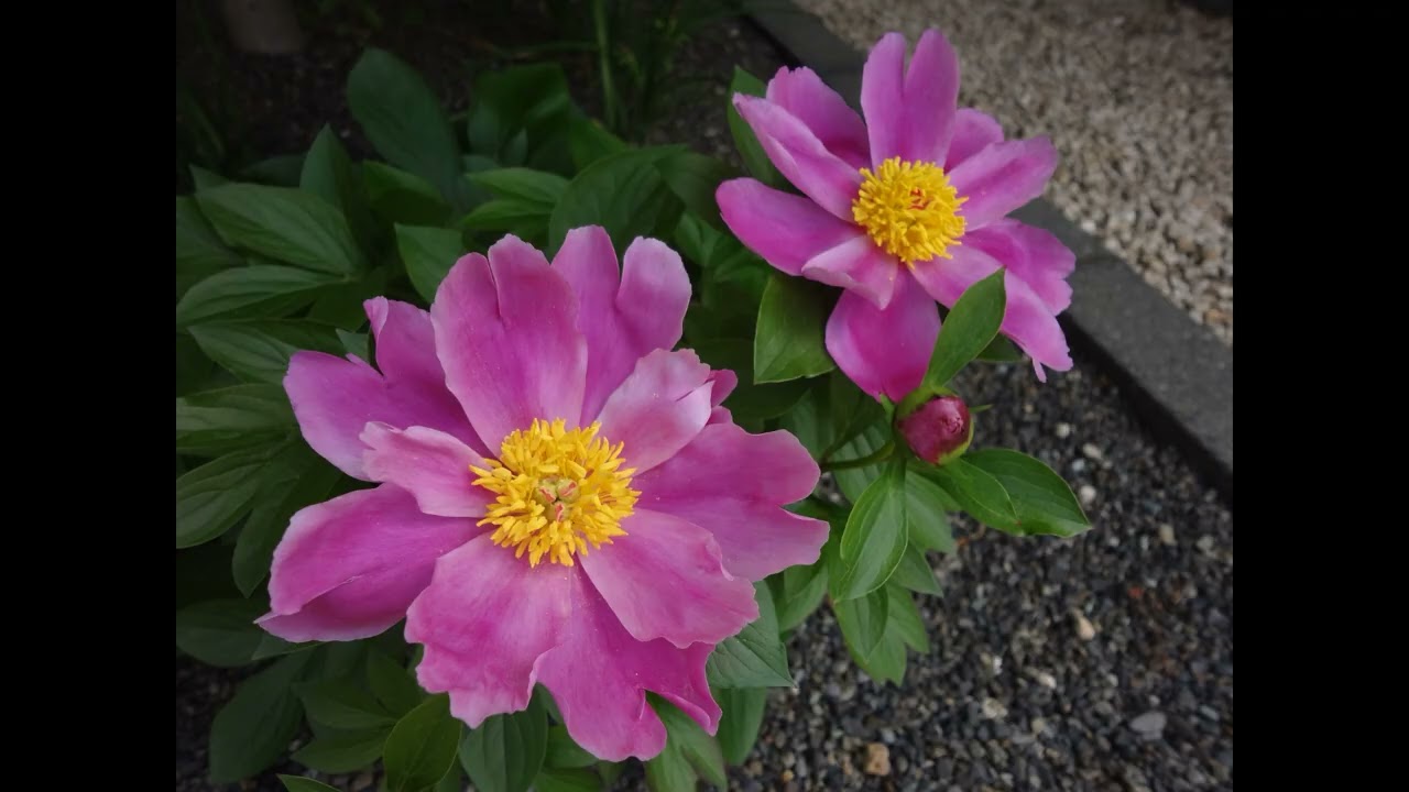 SONY CYBERSHOT DSC-WX10. Digital camera sample photo. #SONY #디카 #Koreanscenery #APARTMENT #APT