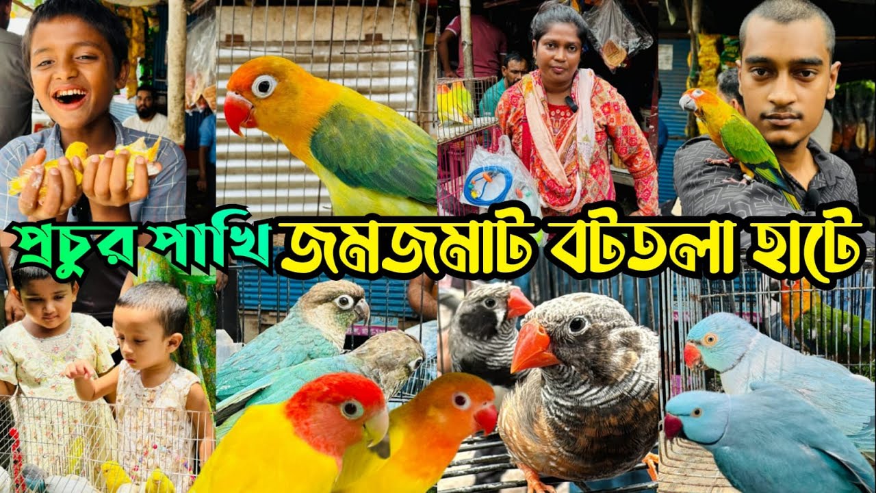 প্রচুর পরিমান পাখিতে জমজমাট বটতলা পাখির হাট | Mirpur 13 Pakhir Hat | Bottola Pakhir Hat#viralvideo