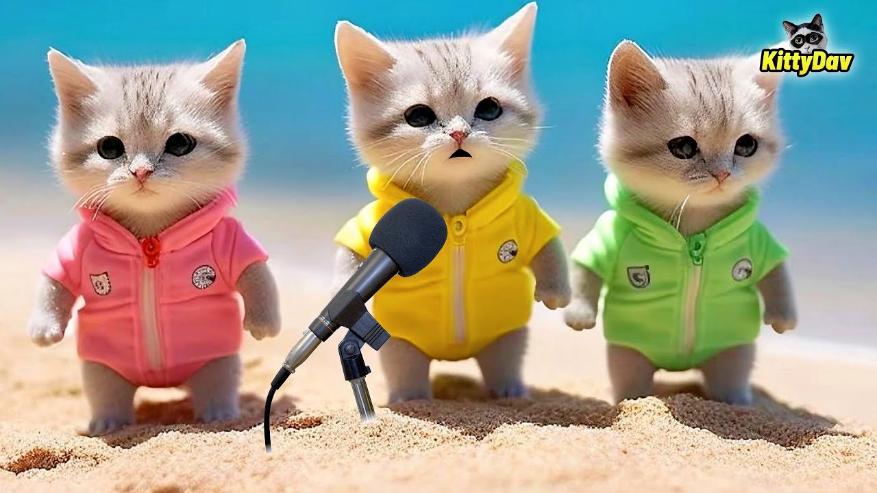 RAHMATUN LIL'ALAMEEN VERSI DJ KUCING SHOLAWAT GEMOY WARNA WARNI