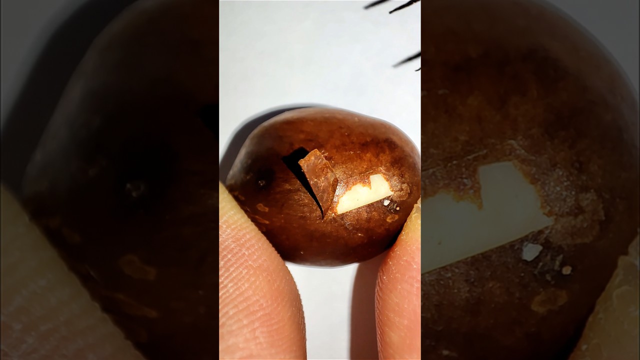 core fruit macro clip
