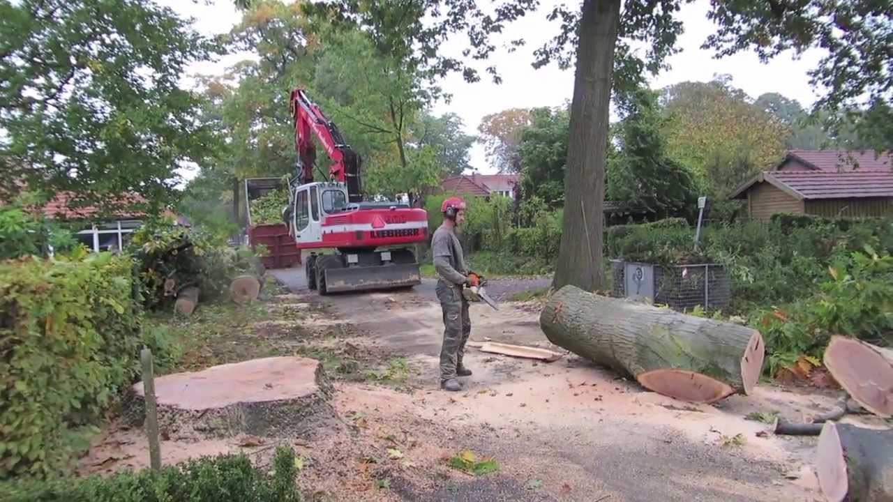 Griendtsveen bomen rooien