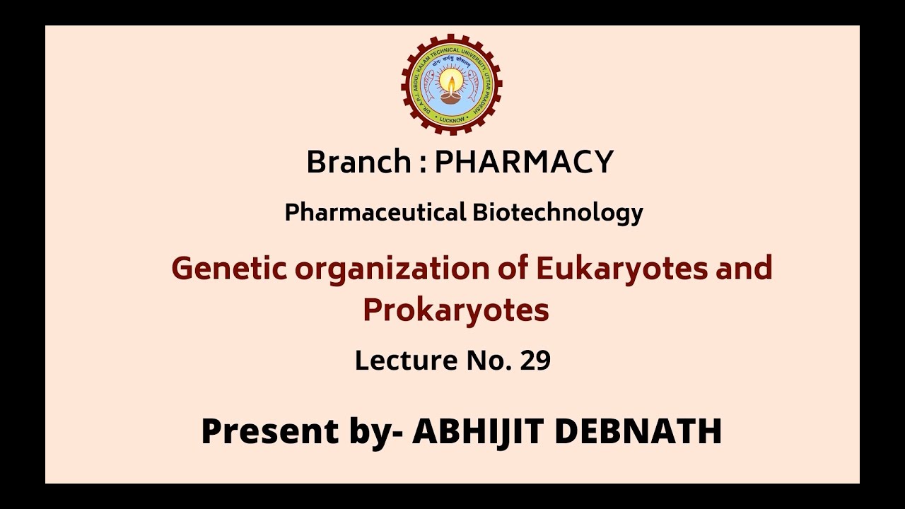 Pharmaceutical Biotechnology | Genetic Organization of Eukaryotes and Prokaryotes |