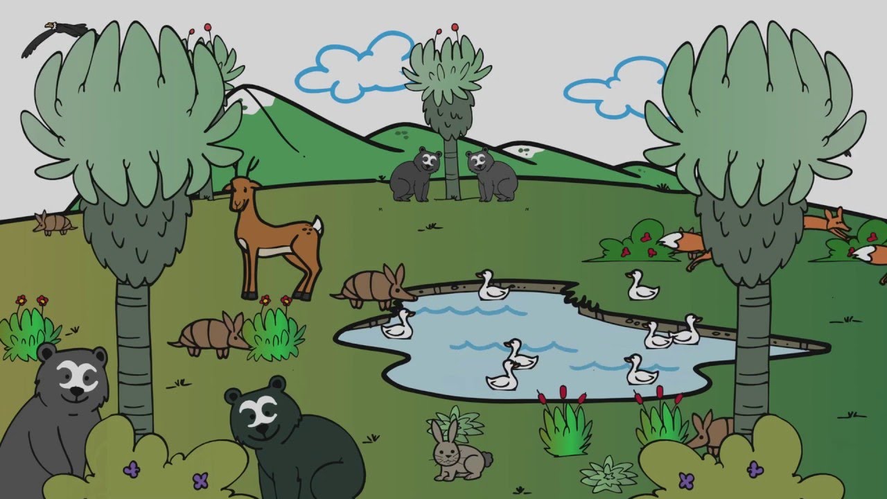 Restauración y cambio climático