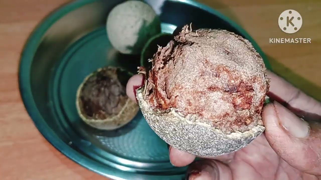 ಆರೋಗ್ಯಕರವಾದ_ಬೇಲದ ಹಣ್ಣಿನ ಜ್ಯೂಸ್||#wood Apple Juice||Leela's Kannda channel