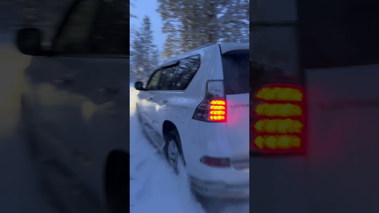 Lexus gx460 в лесу по целине