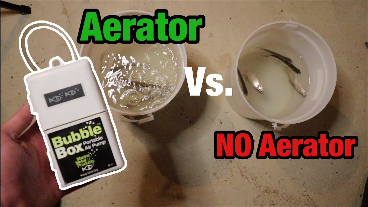 Aerator V.S NO Aerator (Does it matter???)