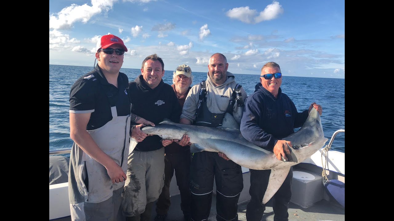 Shark Fishing Aboard Ebony May Out From Saundersfoot Wales UK September 2019 PT3