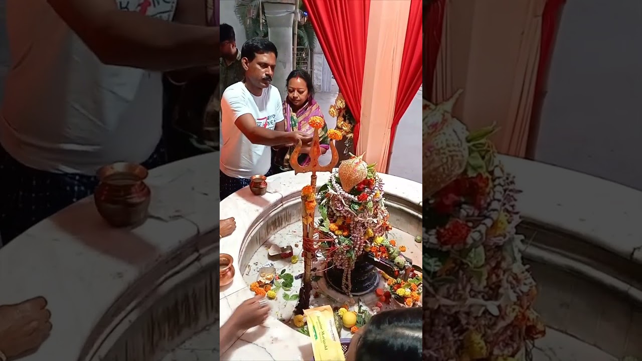 মহাশিবরাত্রির দিনে আমাদের ছোট্ট ঘোরাঘুরি | Mahashivratri Vlog | Family Vlog Bengali