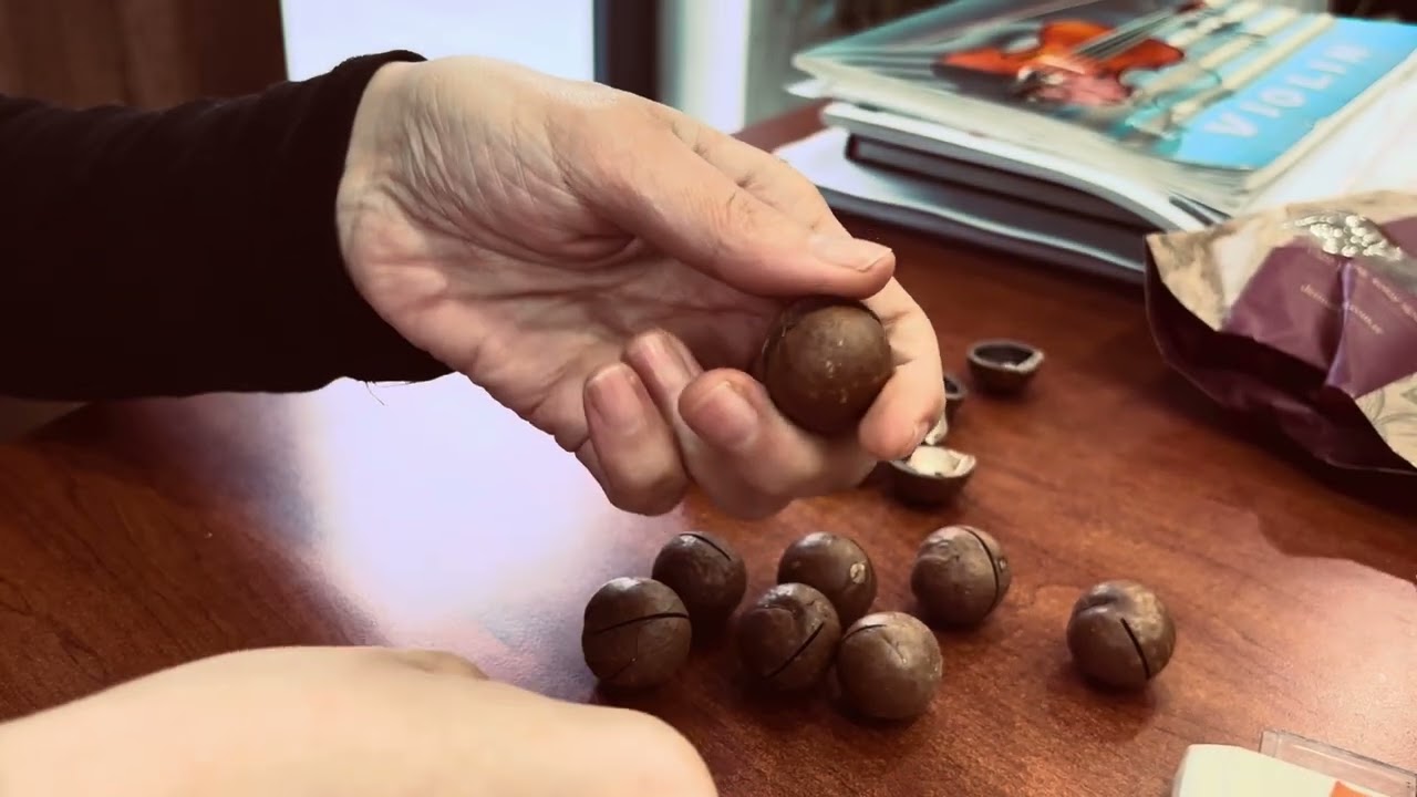 Makademya Fındığı Deneyimimiz | Doğalından Sohbetlerimizden ☺️ #macadamianuts #fındık #keşfet 