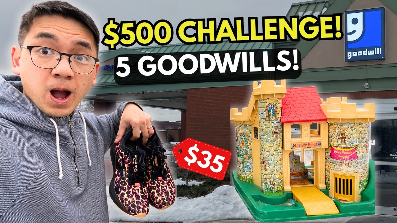 I Gave Myself One Day to Make $500 at 5 Goodwills