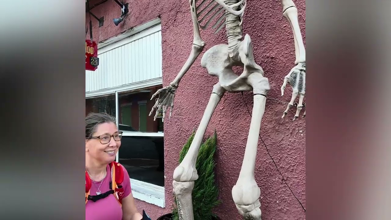 Day 4 & 5 : The walking brain in New Orleans 