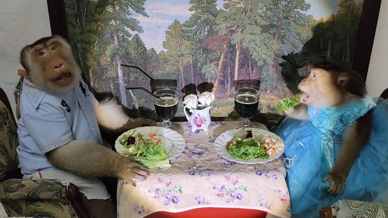 Friday night Dinner at Spotlight Cafe